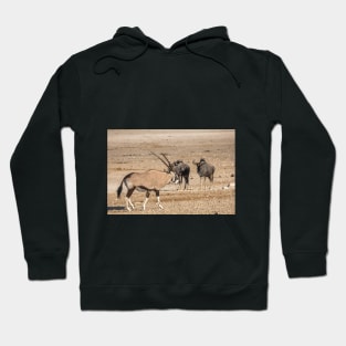 Namibia. Etosha National Park. Oryx and Wildebeest. Hoodie